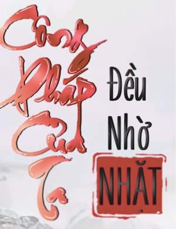 Công Pháp Của Ta Toàn Bộ Nhờ Nhặt